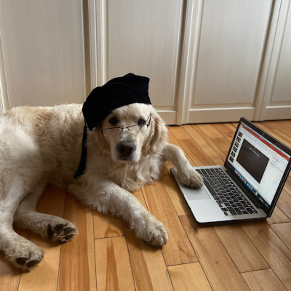 Meet your Posher, Elizabeth